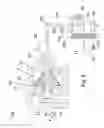 Fig. 03 - Clutch actuator with automatic wear compensation