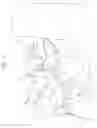 Fig. 04 - Pumpjack lock