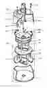 Fig. 01 - Illumination apparatus