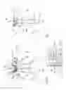 Fig. 02 - Light