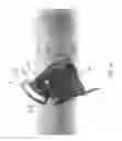 Fig. 13 - Adjustable light module for light fixture