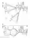 Fig. 02 - Method for conveying concentrated solar power