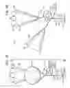 Fig. 02 - Method for conveying concentrated solar power