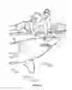 Fig. 02 - SHARK SELF DEFENCE TOOL