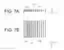 Fig. 08 - Grating coupler with high optical coupling efficiency for SMF
