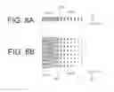 Fig. 09 - Grating coupler with high optical coupling efficiency for SMF