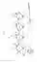 Fig. 02 - Image forming apparatus including high voltage generating circuit