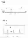 Fig. 08 - Toner-receiving and toner-supply/developing roller systems for controlling toner accumulation and drop during toner recovery