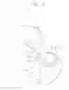 Fig. 02 - Electronic device