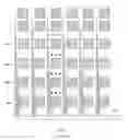 Fig. 02 - Driving Method and Driver Integrated Circuit for Touch Screen