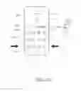 Fig. 35 - Electronic device and method of controlling electronic device