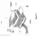 Fig. 10 - Wearable computer using programmed local tag