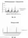 Fig. 08 - Film to DICOM conversion
