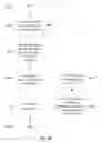 Fig. 87 - Structured data folding with transmutations