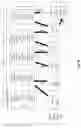 Fig. 89 - Structured data folding with transmutations