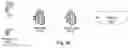 Fig. 97 - Structured data folding with transmutations