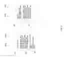 Fig. 04 - Cardzi display system