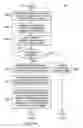 Fig. 07 - Processing Pharmaceutical Prescriptions in Real Time Using a Clinical Analytical Message Data File