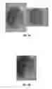 Fig. 10 - SIMULATED, REPRESENTATIVE HIGH-FIDELITY ORGANOSILICATE TISSUE MODELS
