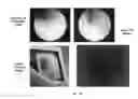 Fig. 12 - SIMULATED, REPRESENTATIVE HIGH-FIDELITY ORGANOSILICATE TISSUE MODELS