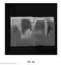 Fig. 15 - SIMULATED, REPRESENTATIVE HIGH-FIDELITY ORGANOSILICATE TISSUE MODELS