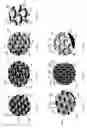 Fig. 08 - Textured skin for chamber components