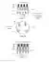 Fig. 04 - Sub-fin removal for SOI like isolation with uniform active fin height