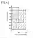 Fig. 44 - Display device and electronic device