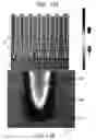 Fig. 12 - Semiconductor device and method of manufacturing the semiconductor device
