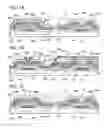 Fig. 02 - Semiconductor device