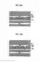 Fig. 09 - Vertical topology light emitting device
