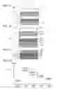 Fig. 02 - Organic compound, light-emitting element, light-emitting device, electronic device, and lighting device