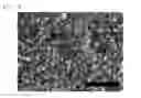 Fig. 09 - Graphene laminate and preparation method therefor
