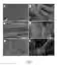 Fig. 08 - Carbonized mushroom electrodes and methods