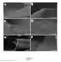 Fig. 09 - Carbonized mushroom electrodes and methods