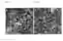 Fig. 03 - Conductive polymer binder for a novel silicon/graphene anode in lithium ion batteries