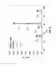 Fig. 35 - NITRILE-SUBSTITUTED SILANES AND ELECTROLYTE COMPOSITIONS AND ELECTROCHEMICAL DEVICES CONTAINING THEM