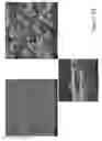 Fig. 40 - Garnet materials for Li secondary batteries and methods of making and using garnet materials