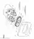 Fig. 02 - Packing and shield connector