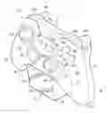 Fig. 01 - Dual-orientation stand