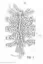 Fig. 02 - Three-Dimensional Elongated Photovoltaic Cell Assemblies