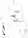 Fig. 43 - Information processing program, reception program, and information processing apparatus
