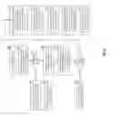 Fig. 09 - Forwarding data amongst cooperative DSTN processing units of a massive data ingestion system