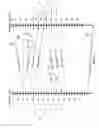 Fig. 07 - System and methods for network synchronization