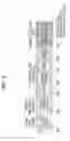 Fig. 07 - Method for transmitting and receiving signal in wireless communication system and apparatus for performing same