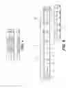 Fig. 05 - Dynamic media access control address allocation and leasing for wireless network