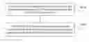 Fig. 01 - IP address allocation method in D2D communication and user equipment