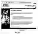 Fig. 16 - Domain name hijack protection