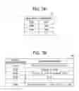 Fig. 08 - INFORMATION PROCESSING TERMINAL, COMMUNICATION SYSTEM, INFORMATION PROCESSING METHOD, AND RECORDING MEDIUM