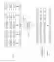 Fig. 16 - Selecting a data storage resource of a dispersed storage network